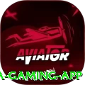 c81 Mega Gaming App